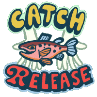 Second Hand Fishing Sticker by recast market