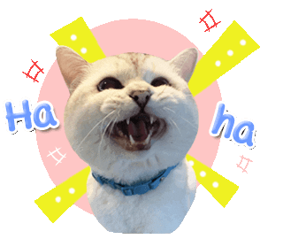 Nalacat Whitecoffeecat Sticker