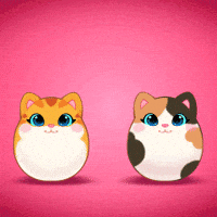 Happy Cat GIF by UpStudiosWorld