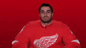 Red Wings Sport GIF by Detroit Red Wings