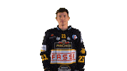 Hockey Look Sticker by HC Pustertal Wolves