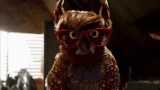 season 3 owl GIF by Portlandia
