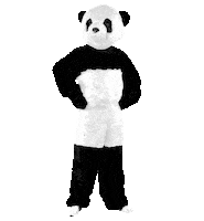 Stop No Sticker by WWF Deutschland