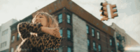 music video city GIF