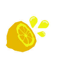 Bier Lemon Sticker by Einbecker Brauhaus