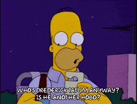 homer simpson episode 3 GIF