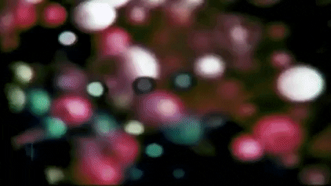 Party Film GIF