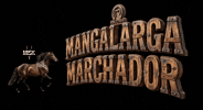 Mangalarga Marchador GIF by Haras Misk