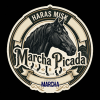 Mangalarga Marchador GIF by Haras Misk