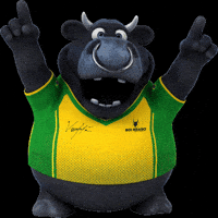 Brabinho GIF by Boi Brabo