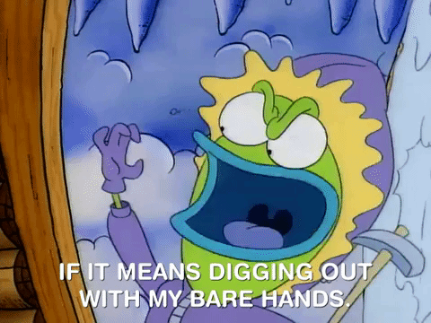 rockos modern life nicksplat GIF