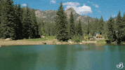 TheBroadmoor travel luxury hotel colorado GIF