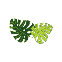 Plant Based Plants Sticker by vitaveg eco packaging