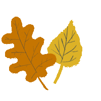 Falling Leaves Fall Sticker by JAKO-O