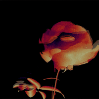 Art Mood GIF by tratti