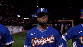 World Baseball Classic Sport GIF by MLB