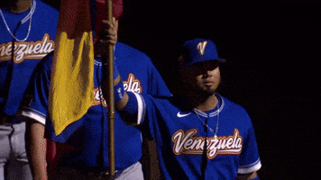 World Baseball Classic Sport GIF by MLB