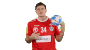 Handball_Austria aut moritz ohb handballaustria Sticker