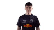 Red Bull Sr Sticker by Oracle Red Bull Racing