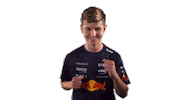 Red Bull Sr Sticker by Oracle Red Bull Racing