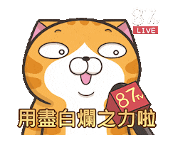 cat lanlancat Sticker by MochiDad