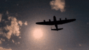 Flying Indie Film GIF by Signature Entertainment
