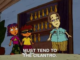 rocket power nicksplat GIF