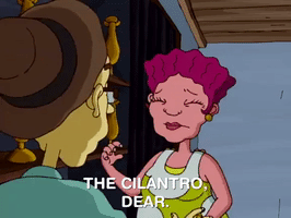 rocket power nicksplat GIF