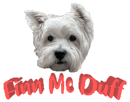 Dog Finn Sticker