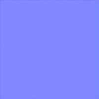 Full Moon Bear GIF by Jessica Lau