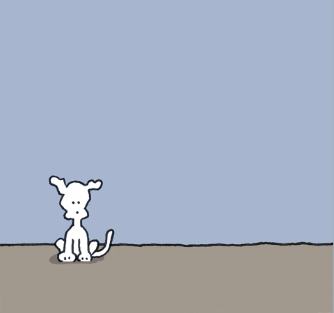 Dogs Love GIF by Chippy the Dog