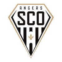 Angers Sco Sticker by Ligue 1