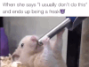 water drinking GIF