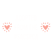 Sspca Sticker by Sacramento SPCA