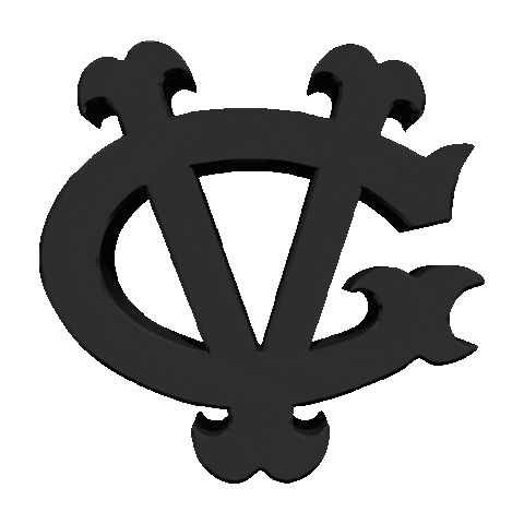 VGHC giphyupload black hockey nhl Sticker
