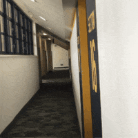 Whats Up College GIF by Oski