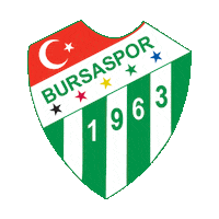 Logo Sticker by Bursaspor