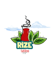 Zipline Rafting Sticker by Tatilino Turizm