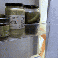 Cheh Dans Ta Face GIF