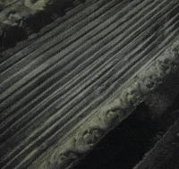 salems lot horror movies GIF by absurdnoise