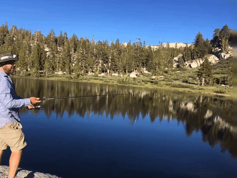 Fishing Lake GIF by Justin