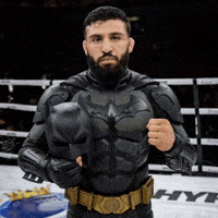 Bruce Wayne Ufc GIF