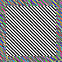 art geometry GIF by Michel Poisson