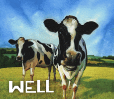 Digital art gif. Painting of two black-and-white cows in a grassy field, their mouths animated to smile and talk. Text appears and reads "Well done."