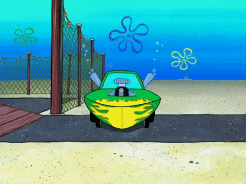 season 8 GIF by SpongeBob SquarePants