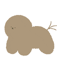 犬 ビションフリーゼ Sticker