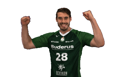 Celebrating Handball-Bundesliga Sticker by HSG Wetzlar