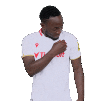 Football Soccer Sticker by Fortuna Liga