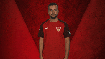 Stuttgart GIF by Bundesliga