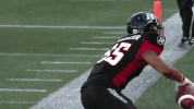 td place football GIF by Ottawa REDBLACKS